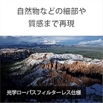 Amazon.co.jp: SONY(ソニー) フルサイズ ミラーレス一眼カメラ